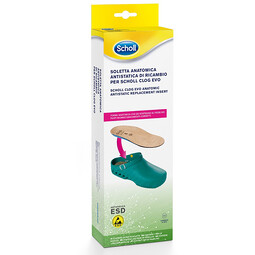 CLOG EVO ANAT ANT INS MIC38-39