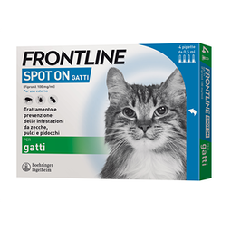 FRONTLINE*4PIP GATTI