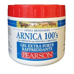 ARNICA 100'S GEL EX FT RAFF500