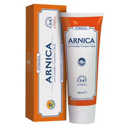 ARNICA FORTE POMATA 100ML